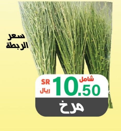    in Al Rasheed Markets in KSA, Saudi Arabia, Saudi - Riyadh