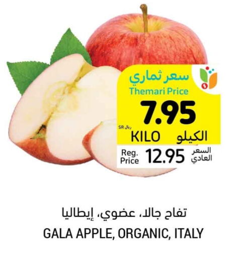  Apples  in Tamimi Market in KSA, Saudi Arabia, Saudi - Jubail