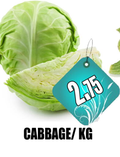  Cabbage  in GRAND MAJESTIC HYPERMARKET in UAE - Abu Dhabi