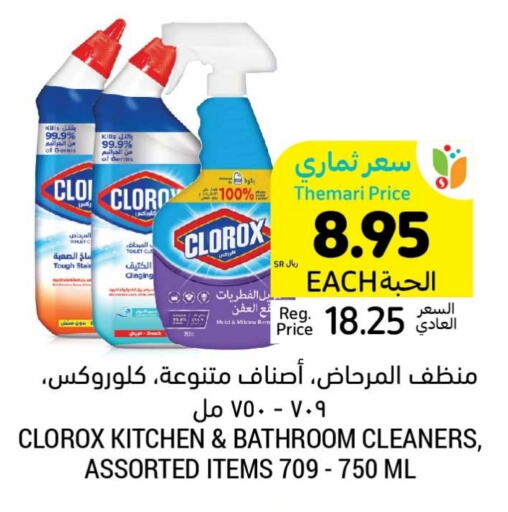 CLOROX Toilet / Drain Cleaner  in Tamimi Market in KSA, Saudi Arabia, Saudi - Hafar Al Batin