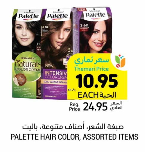 PALETTE Hair Colour  in Tamimi Market in KSA, Saudi Arabia, Saudi - Dammam