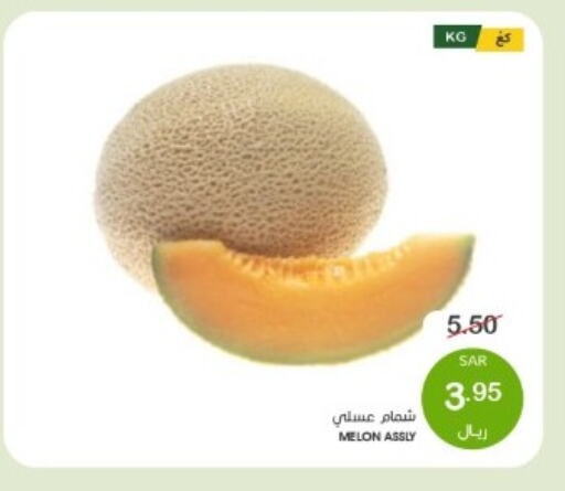  Sweet melon  in Mazaya in KSA, Saudi Arabia, Saudi - Dammam