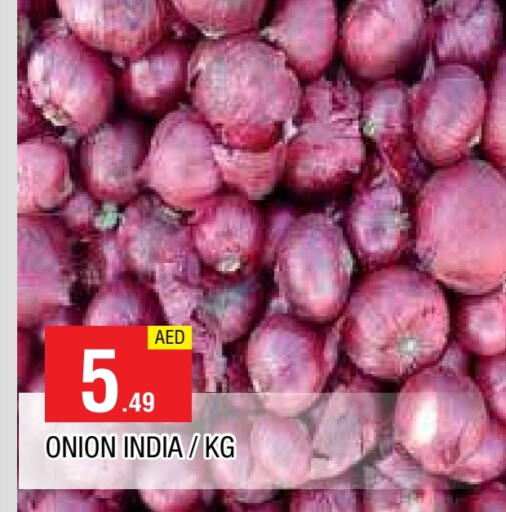  Onion  in AL MADINA in UAE - Sharjah / Ajman