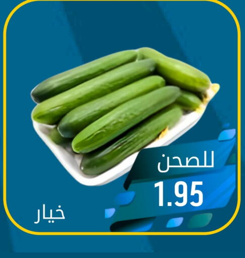  خيار  in جوول ماركت in مملكة العربية السعودية, السعودية, سعودية - الخبر‎