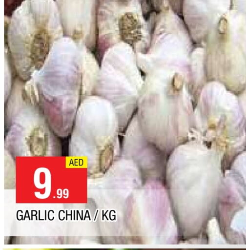 Garlic