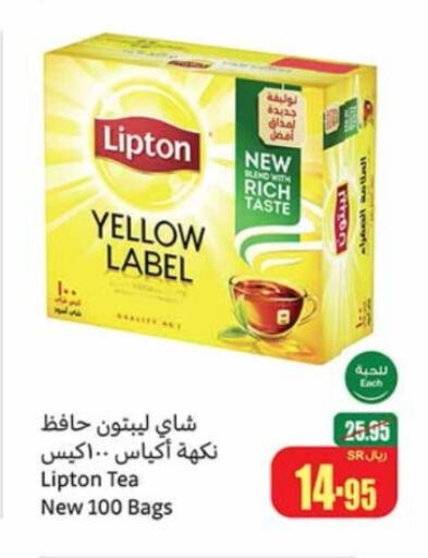 Lipton