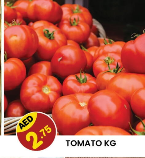  Tomato  in Fresh Spike Supermarket in UAE - Dubai