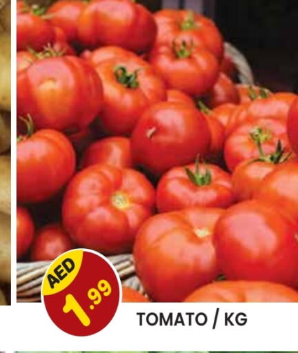  Tomato  in Baniyas Spike  in UAE - Sharjah / Ajman