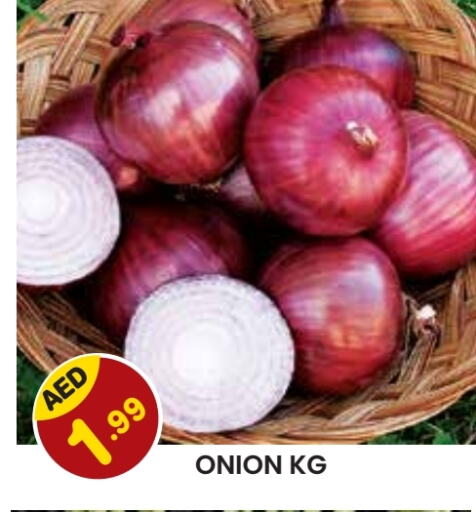  Onion  in Baniyas Spike  in UAE - Al Ain