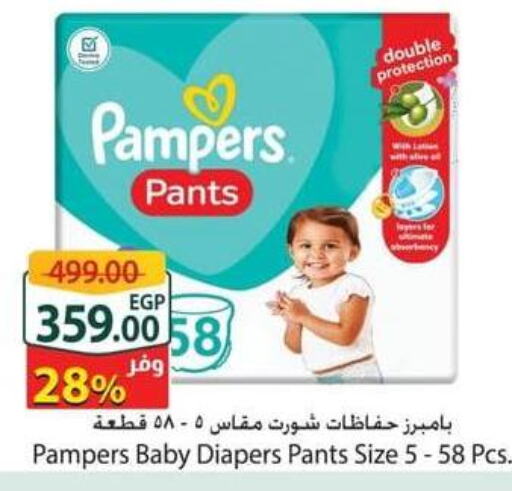 Pampers   in Spinneys  in Egypt - Cairo