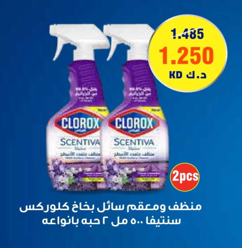 CLOROX General Cleaner  in Al Rawda & Hawally Coop Society in Kuwait - Kuwait City