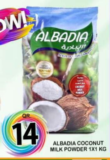  Coconut Powder  in Dubai Shopping Center in Qatar - Al Wakra