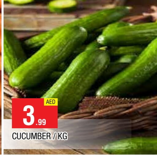 Cucumber