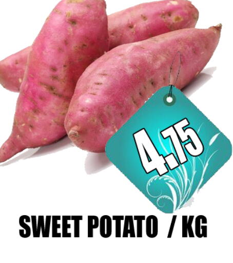  Sweet Potato  in GRAND MAJESTIC HYPERMARKET in UAE - Abu Dhabi