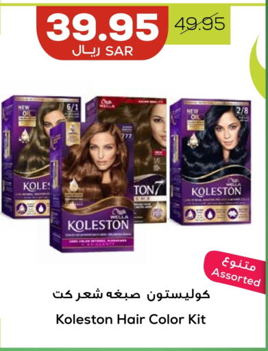 WELLA Hair Colour  in Astra Markets in KSA, Saudi Arabia, Saudi - Tabuk