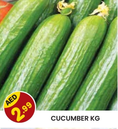  Cucumber  in Baniyas Spike  in UAE - Al Ain