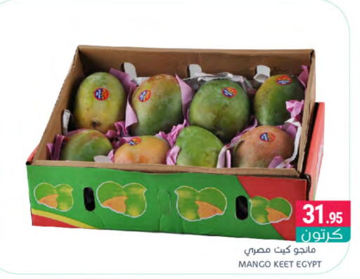 Mango Mango  in Muntazah Markets in KSA, Saudi Arabia, Saudi - Dammam