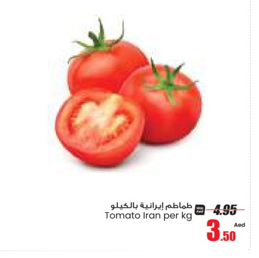  Tomato  in Armed Forces Cooperative Society (AFCOOP) in UAE - Abu Dhabi