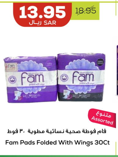 FAM   in Astra Markets in KSA, Saudi Arabia, Saudi - Tabuk