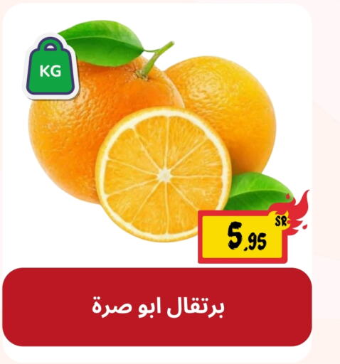  Orange  in Mahasen Central Markets in KSA, Saudi Arabia, Saudi - Al Hasa