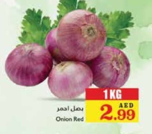  Onion  in Trolleys Supermarket in UAE - Dubai