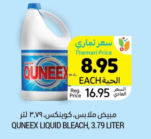 QUEENEX Bleach  in Tamimi Market in KSA, Saudi Arabia, Saudi - Jeddah