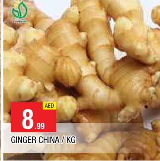  Ginger  in AL MADINA in UAE - Sharjah / Ajman