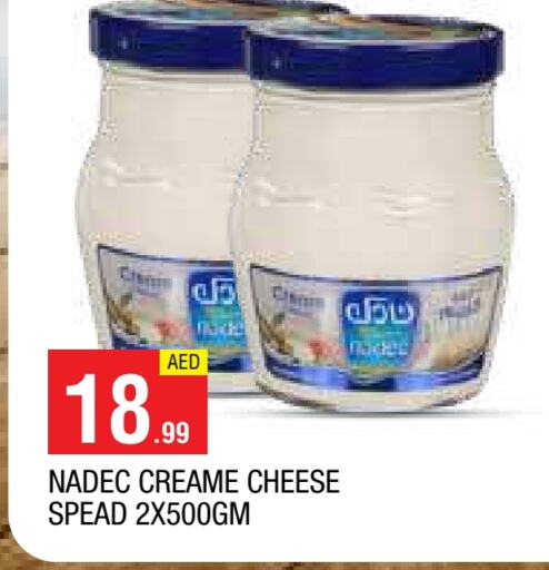 NADEC Cream Cheese  in AL MADINA in UAE - Sharjah / Ajman