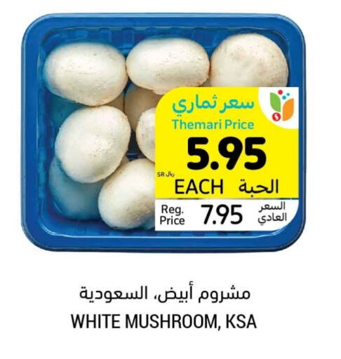  Mushroom  in Tamimi Market in KSA, Saudi Arabia, Saudi - Dammam