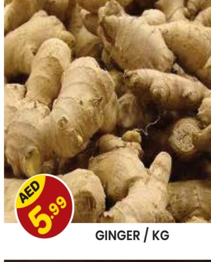  Ginger  in Baniyas Spike  in UAE - Sharjah / Ajman