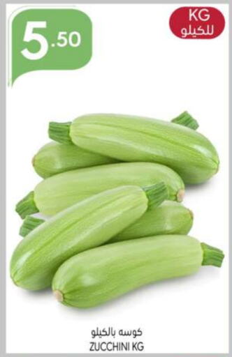 Zucchini