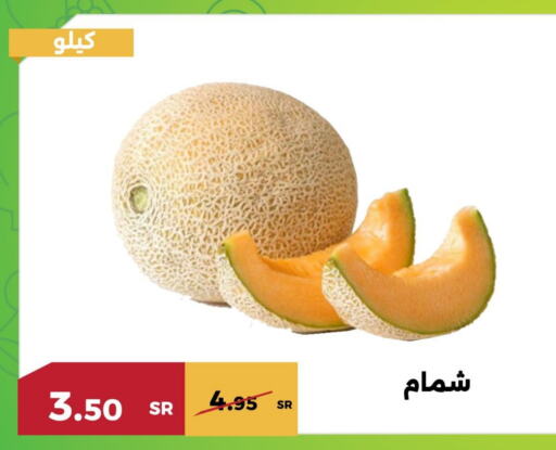  Sweet melon  in Forat Garden in KSA, Saudi Arabia, Saudi - Mecca