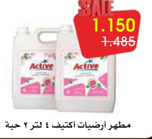  Disinfectant  in Al Rawda & Hawally Coop Society in Kuwait - Kuwait City