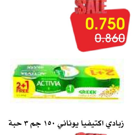 ACTIVIA Yoghurt  in Al Rawda & Hawally Coop Society in Kuwait - Kuwait City