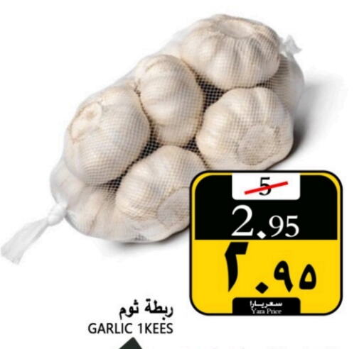 Garlic