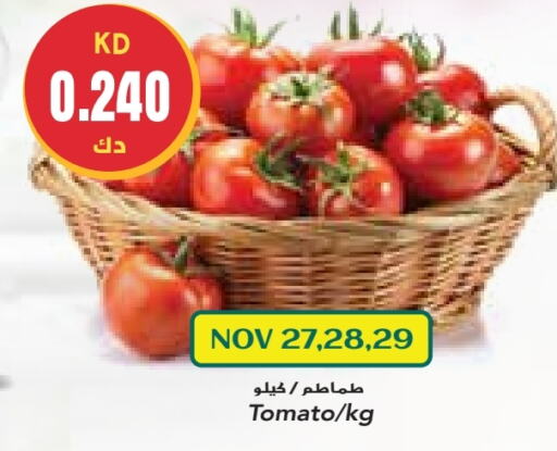  Tomato  in Grand Costo in Kuwait - Ahmadi Governorate