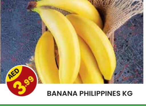  Banana  in Baniyas Spike  in UAE - Al Ain