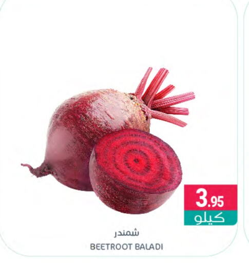  Beetroot  in Muntazah Markets in KSA, Saudi Arabia, Saudi - Dammam