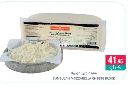  Mozzarella  in Muntazah Markets in KSA, Saudi Arabia, Saudi - Dammam