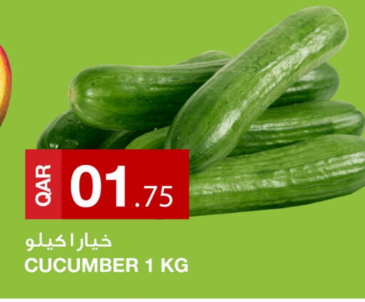 Cucumber