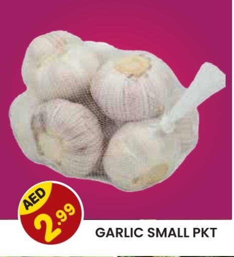 Garlic