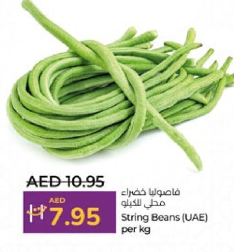  Beans  in Lulu Hypermarket in UAE - Al Ain