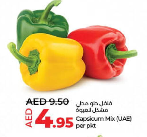  Chilli / Capsicum  in Lulu Hypermarket in UAE - Sharjah / Ajman