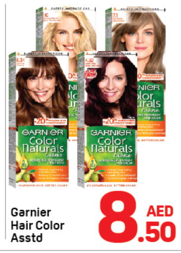 GARNIER Hair Colour  in Day to Day Department Store in UAE - Dubai