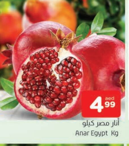  Pomegranate  in AL MADINA in UAE - Sharjah / Ajman