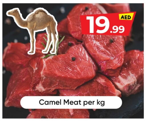 Camel