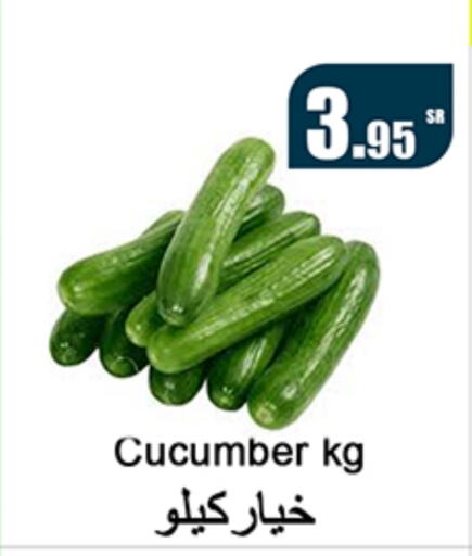  Cucumber  in Al Mukhaizeem Markets in KSA, Saudi Arabia, Saudi - Dammam