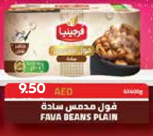  Fava Beans  in Abu Dhabi COOP in UAE - Al Ain