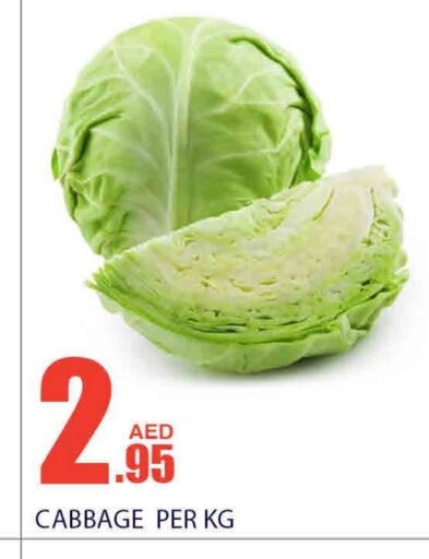 Cabbage