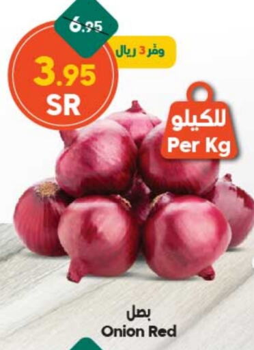  Onion  in Dukan in KSA, Saudi Arabia, Saudi - Mecca